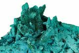 Chrysocolla and Malachite Pseudomorph - Lupoto Mine, Congo #167683-1